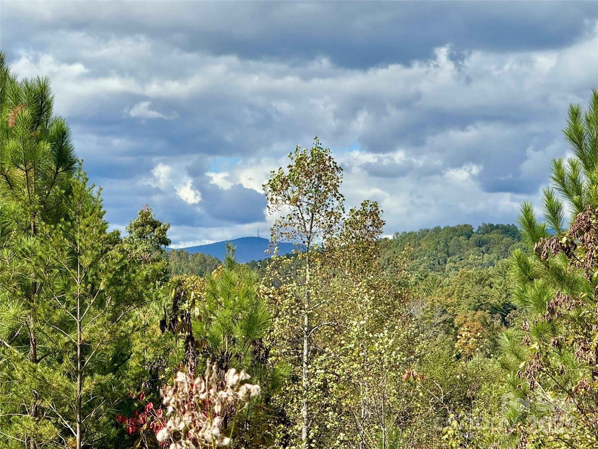 1.17 Acres 4805 Low Valley Way Lot 956 Property Photo 8