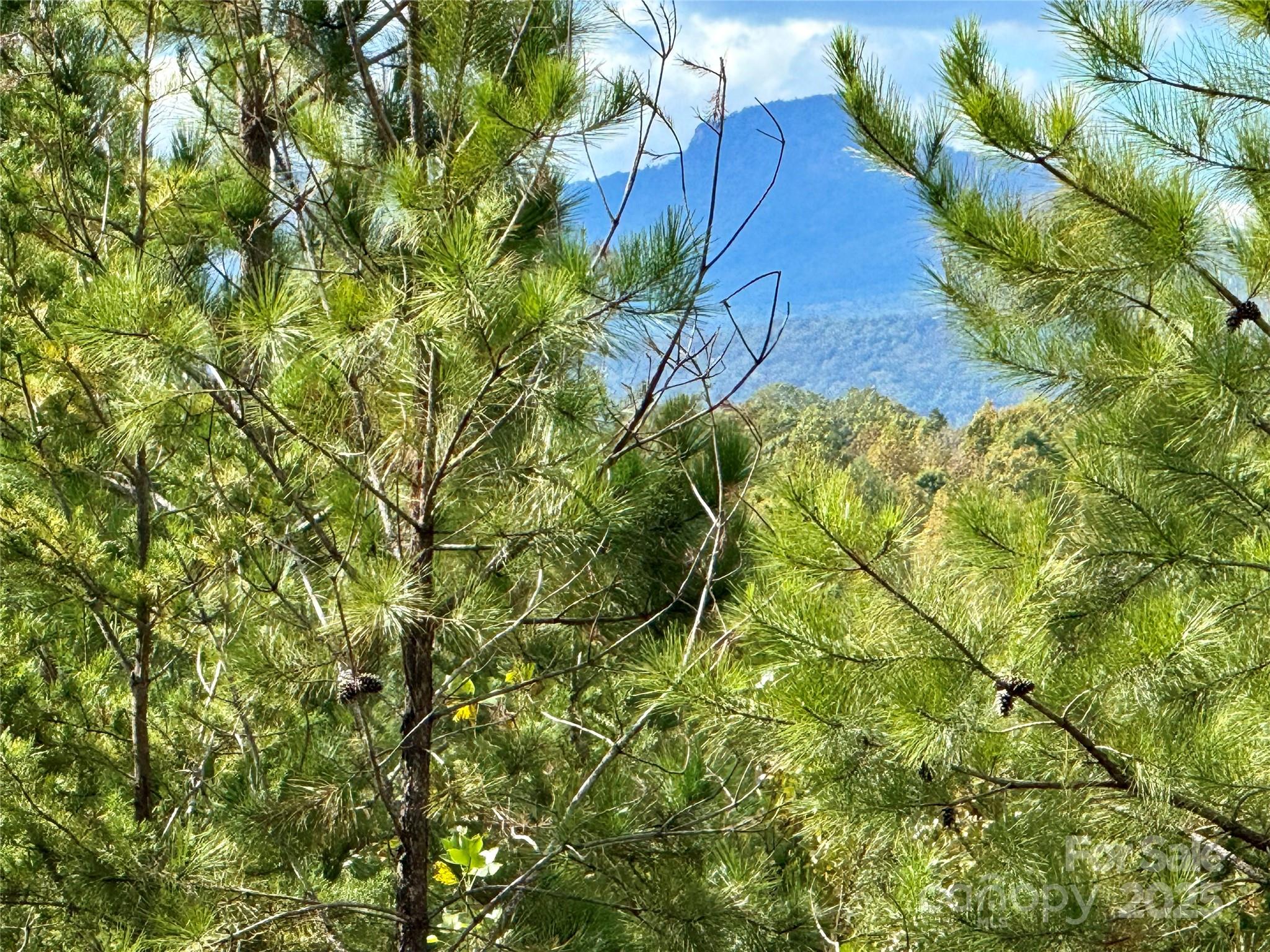 1.17 Acres 4805 Low Valley Way Lot 956 Property Photo 9