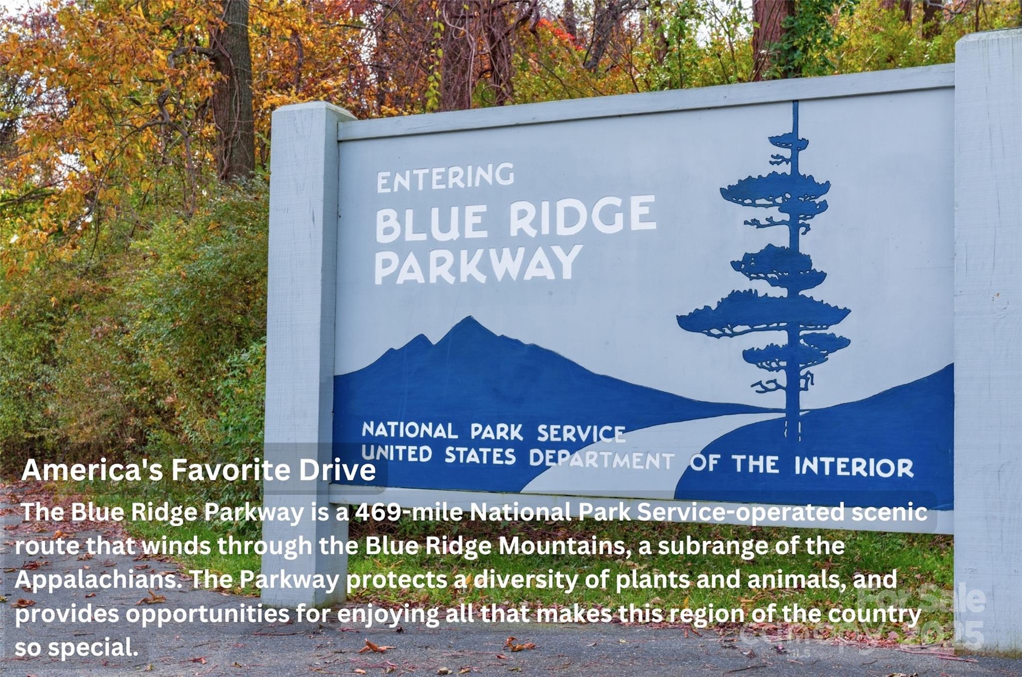 1.17 Acres 4805 Low Valley Way Lot 956 Property Photo 39