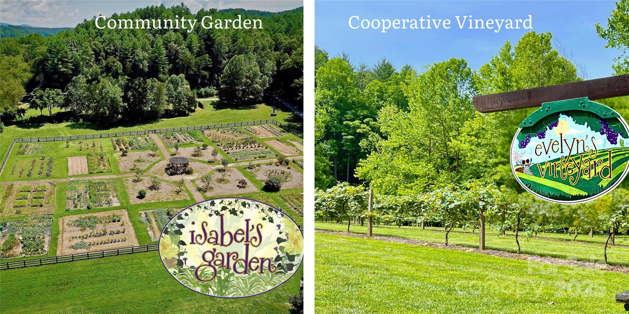 1.17 Acres 4805 Low Valley Way Lot 956 Property Photo 40