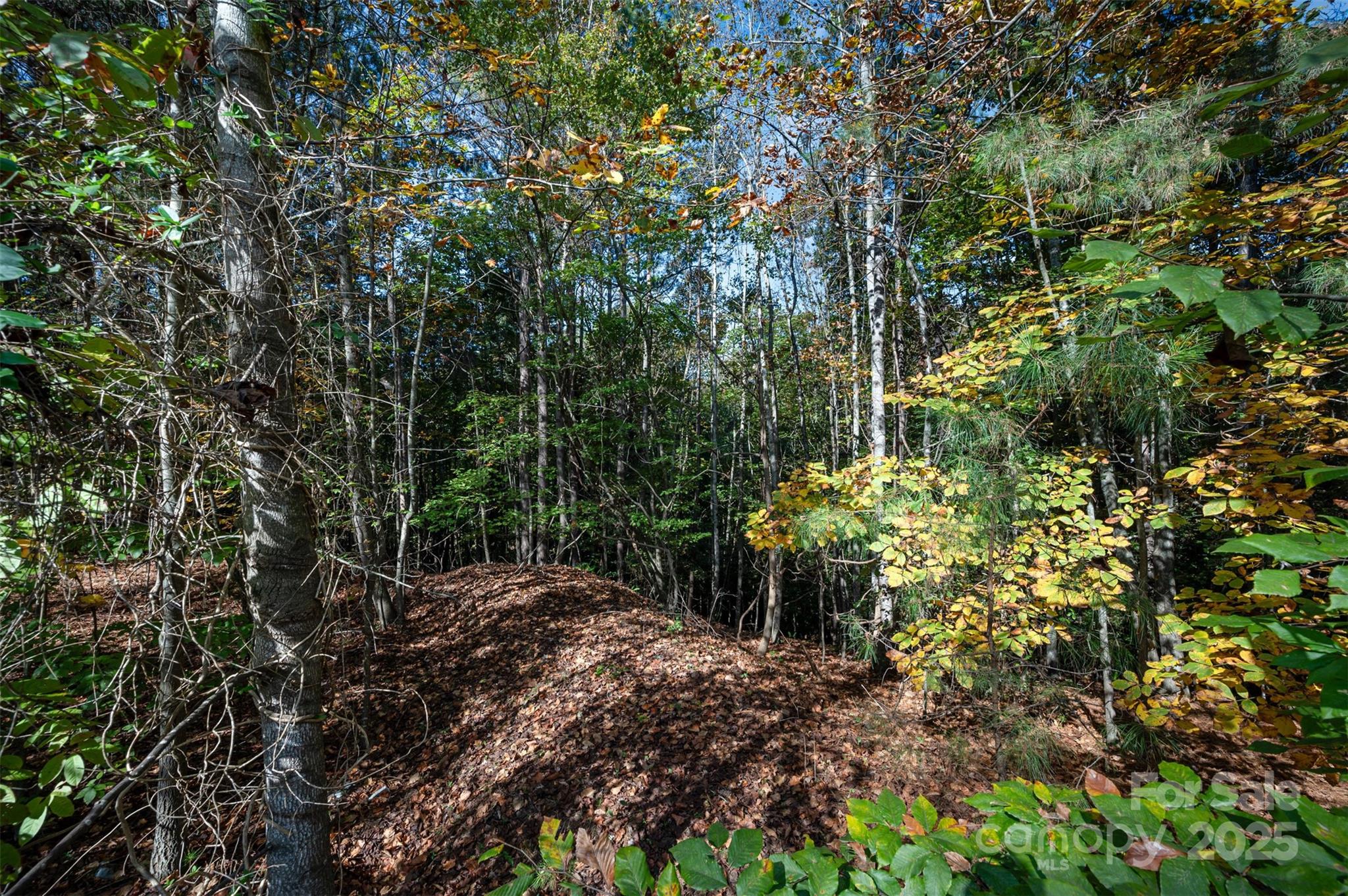 150 Oak Point Lane Property Photo 8