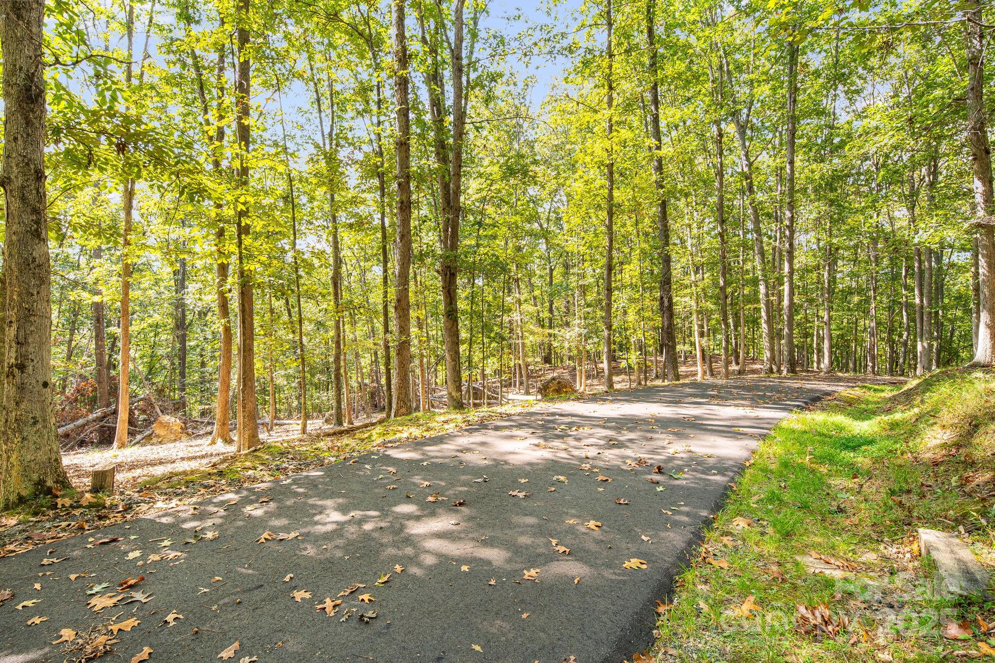 111 Wild Turkey Loop Property Photo 15