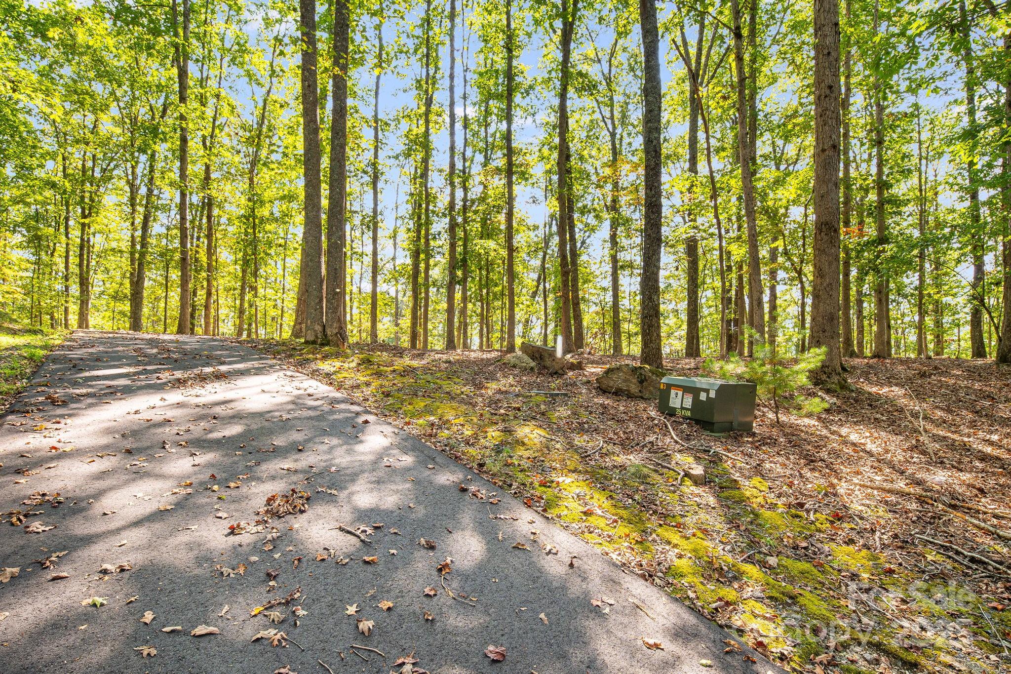 111 Wild Turkey Loop Property Photo 16