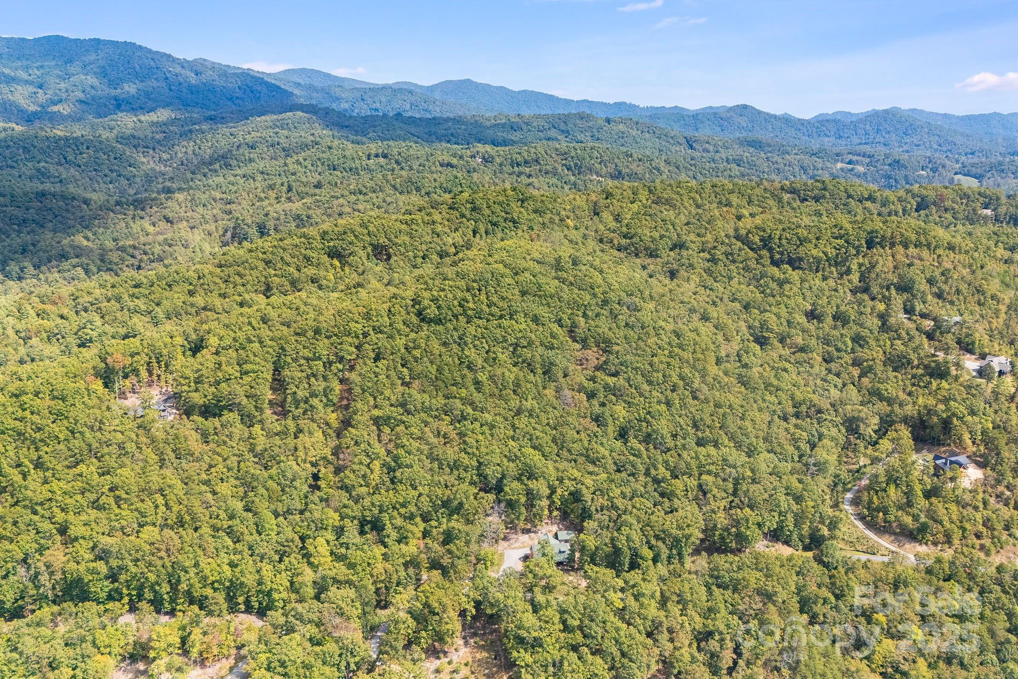 111 Wild Turkey Loop Property Photo 18