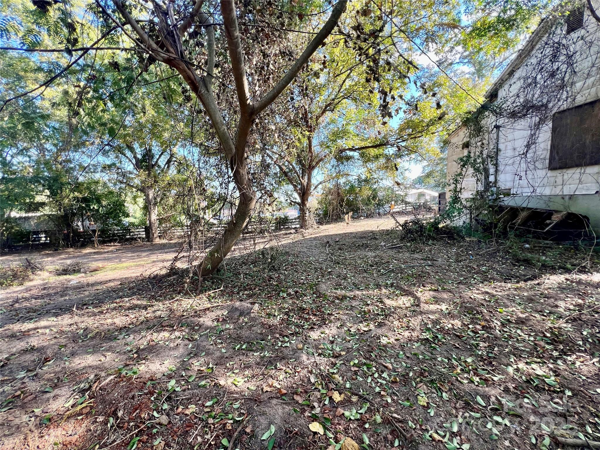 407 Chester Avenue Property Photo 41