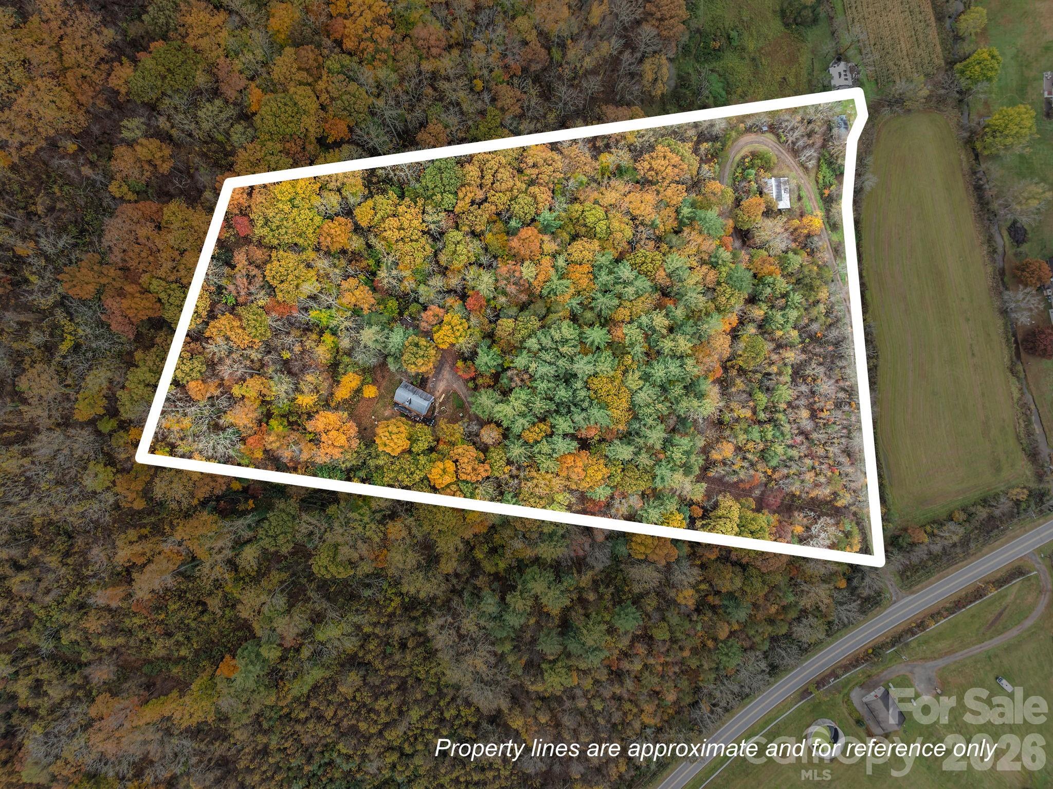 3114 New Leicester Highway Property Photo 25