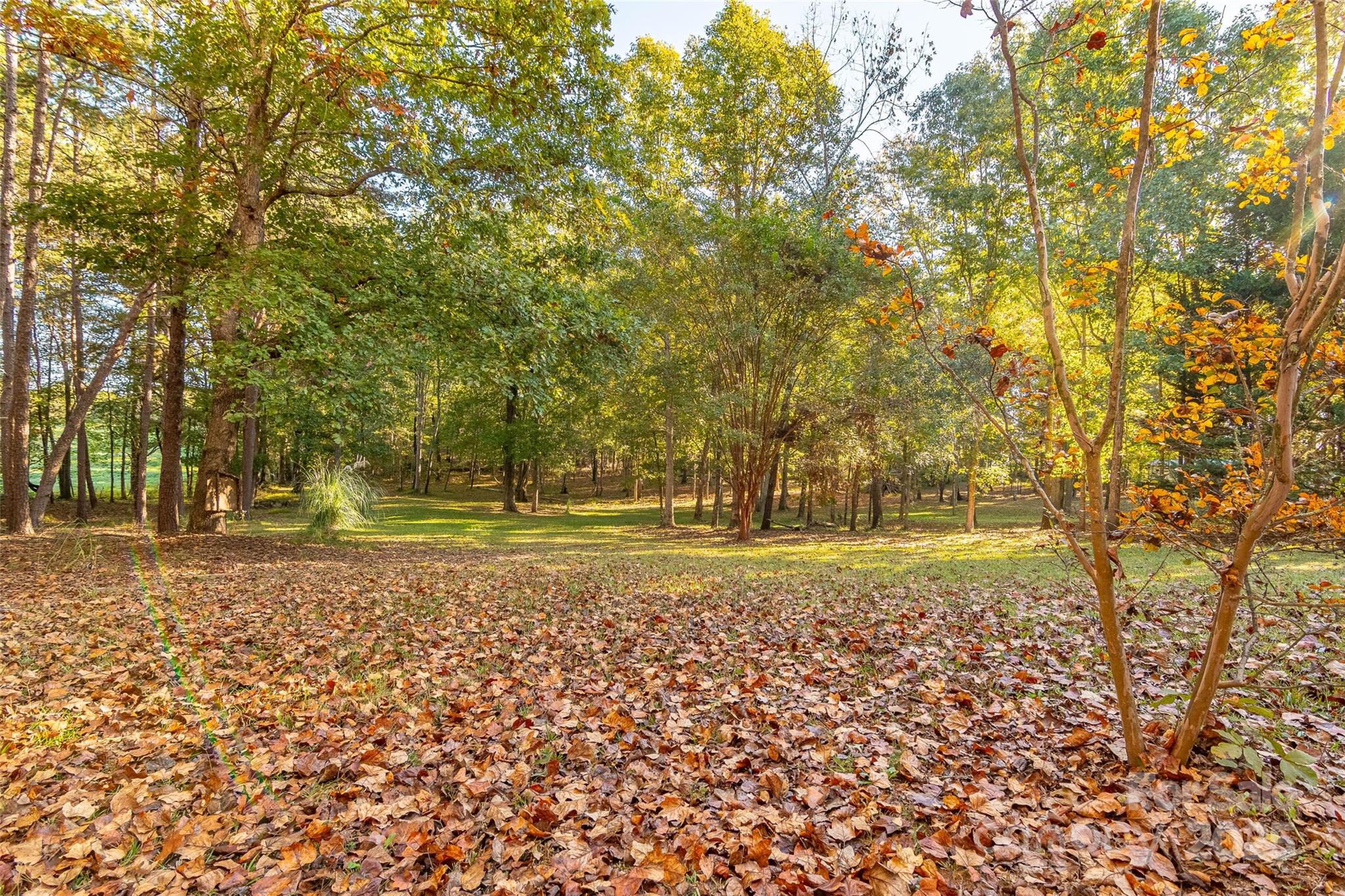 190 Carrs Court Property Photo 10