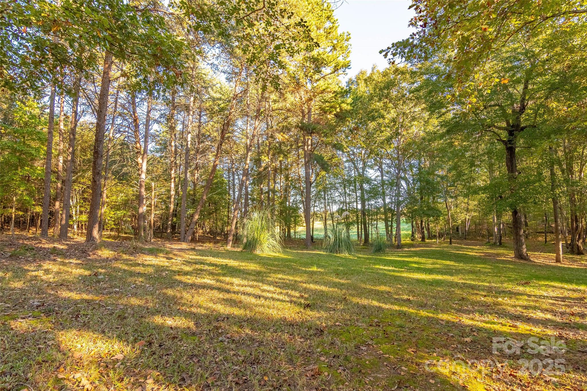 190 Carrs Court Property Photo 11