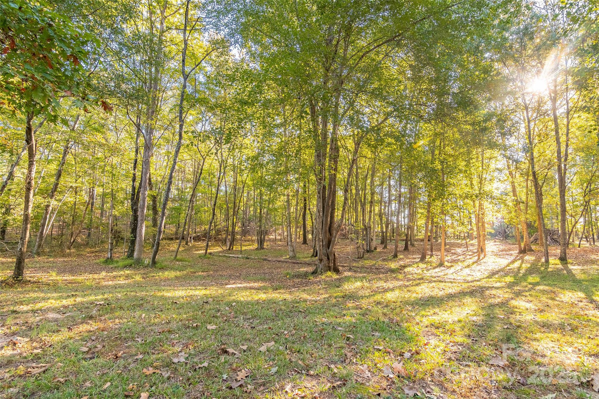 190 Carrs Court Property Photo 12