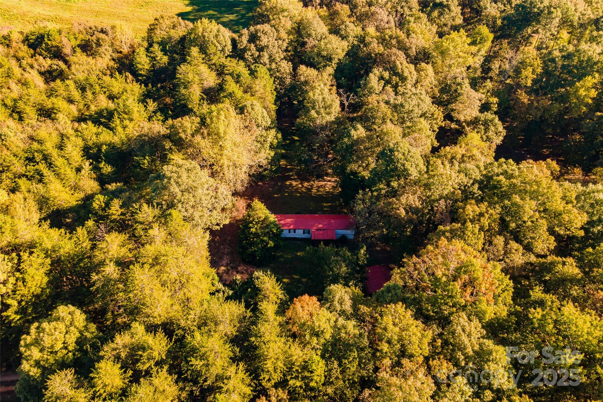 190 Carrs Court Property Photo 15