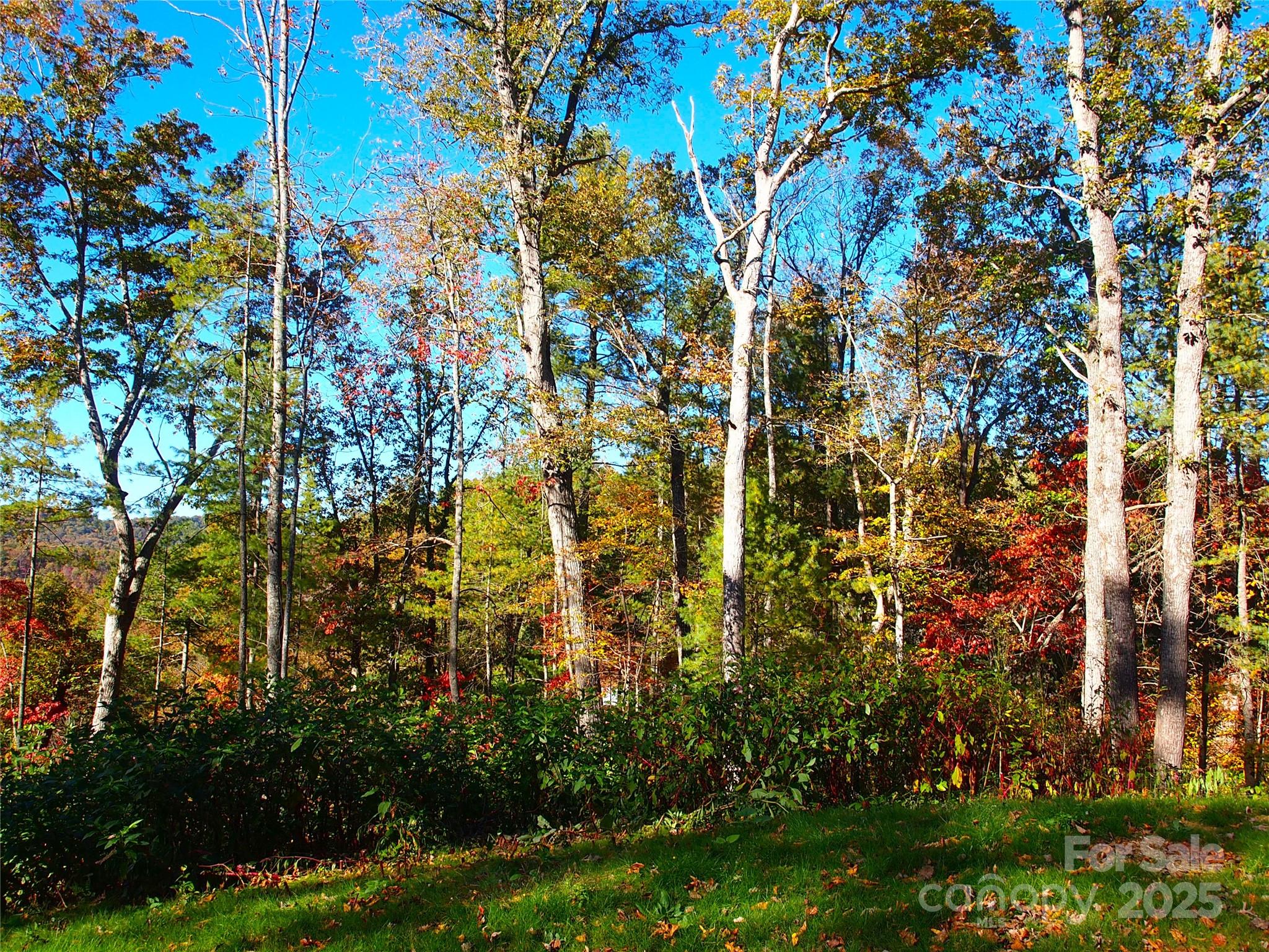 188 Longue Vue Lane Property Photo 2