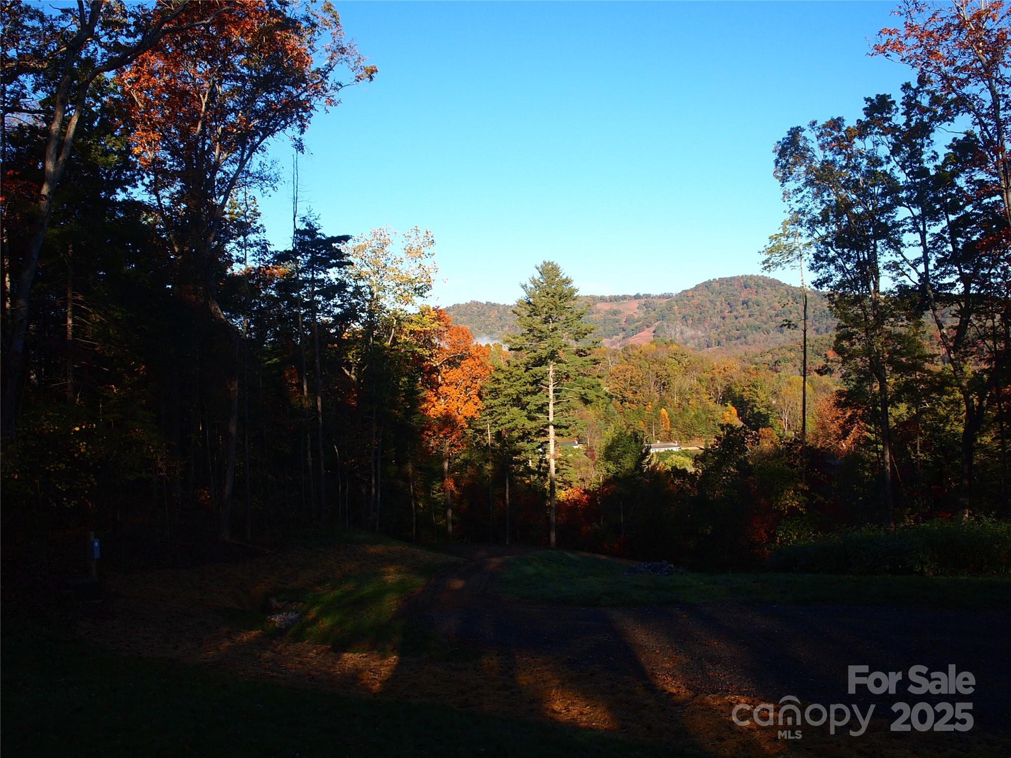 188 Longue Vue Lane Property Photo 5