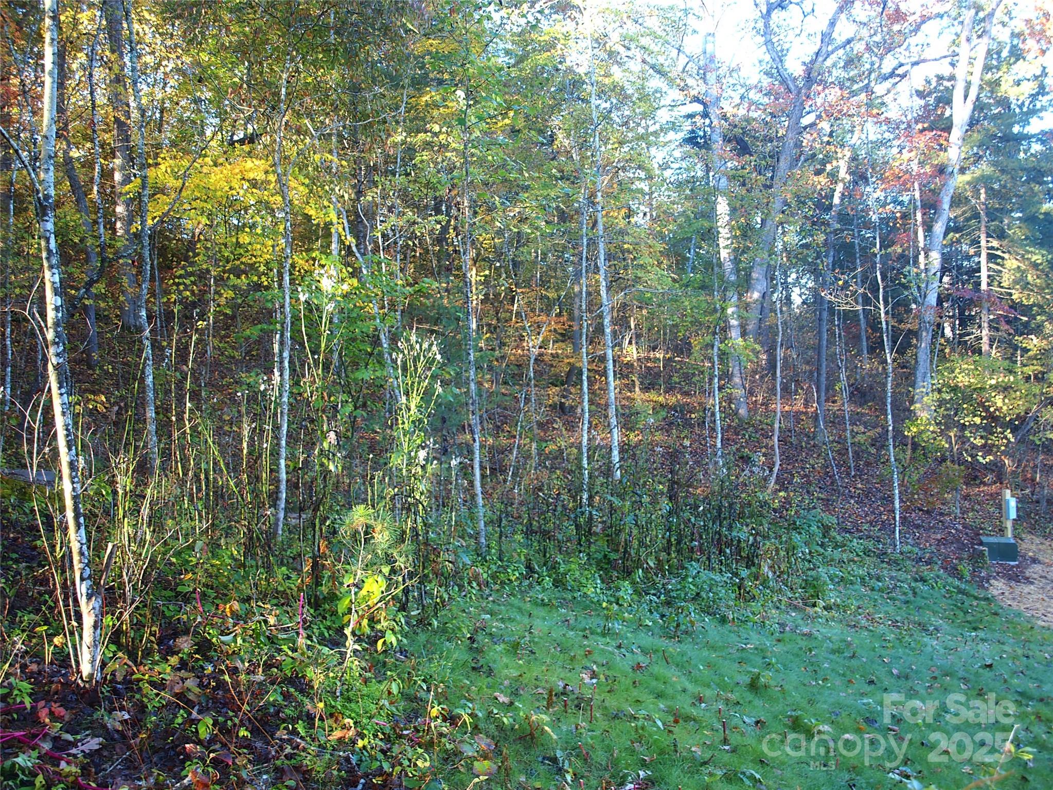 188 Longue Vue Lane Property Photo 6