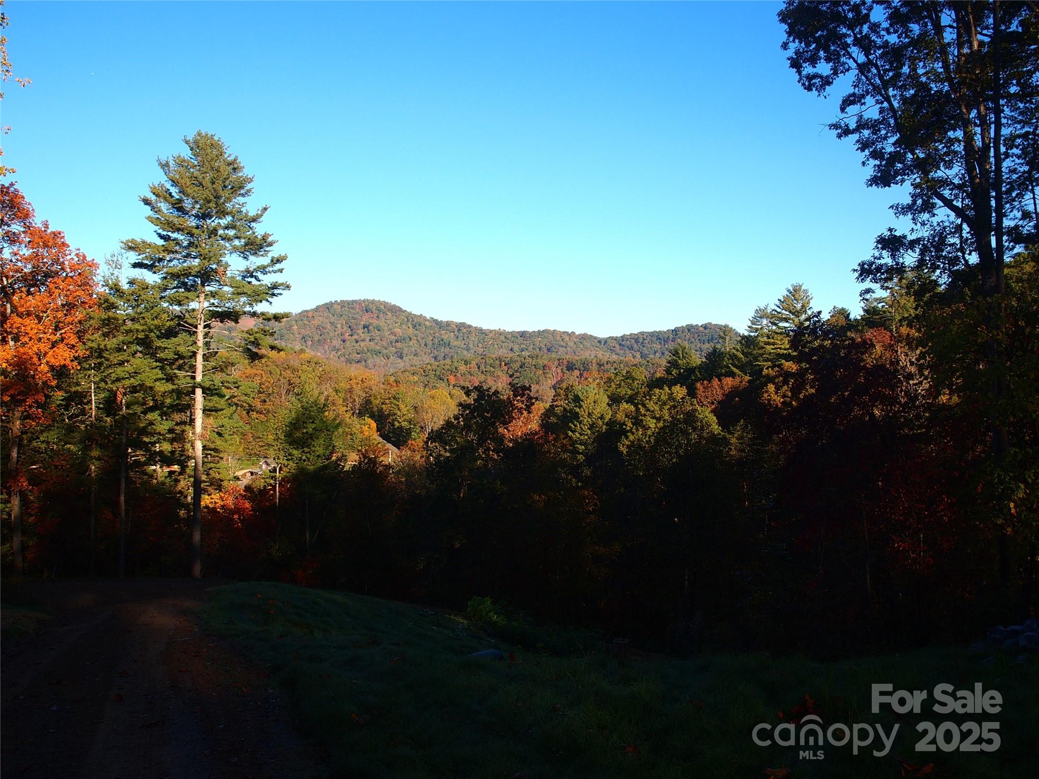 188 Longue Vue Lane Property Photo 9