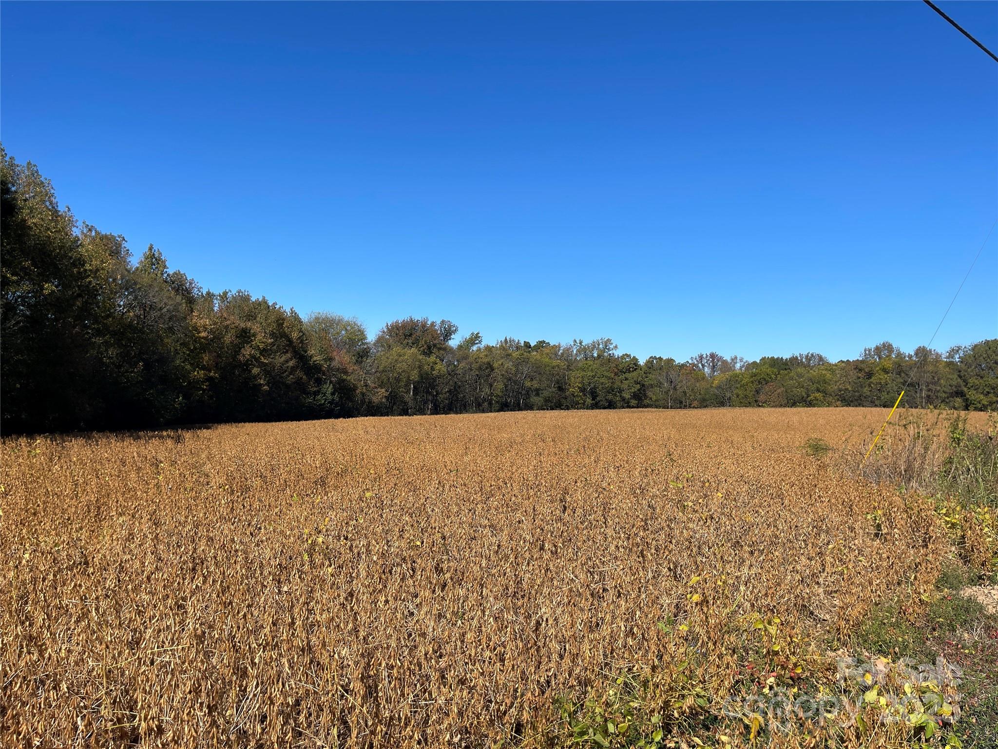 Vac Highway 52 S Highway Property Photo 1