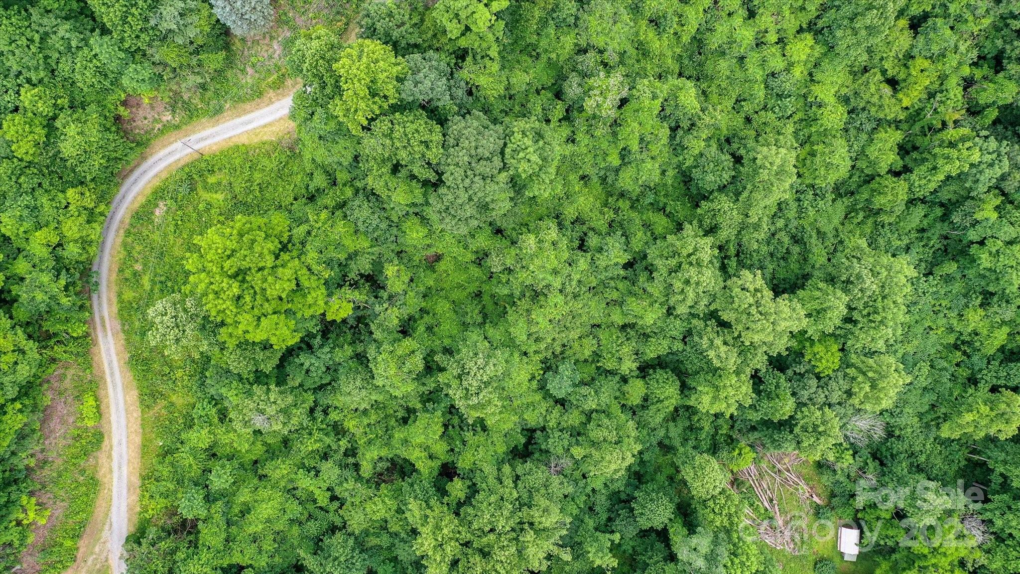 99999 Secluded Valley Road Property Photo 8