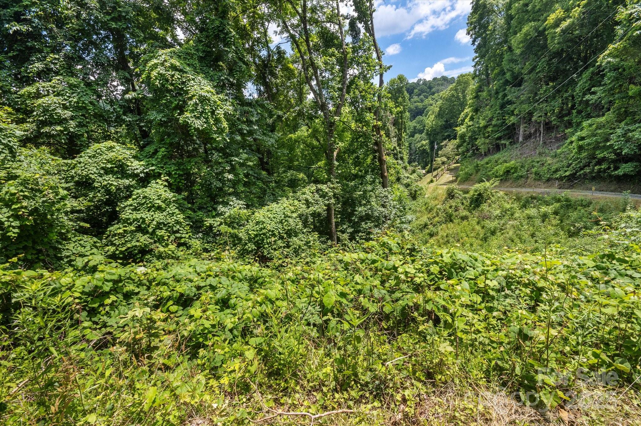 99999 Secluded Valley Road Property Photo 13