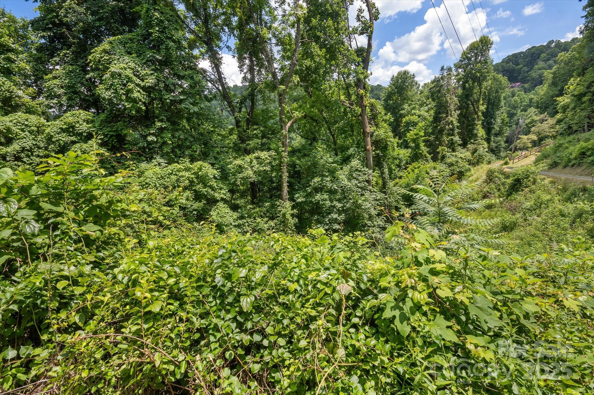 99999 Secluded Valley Road Property Photo 14