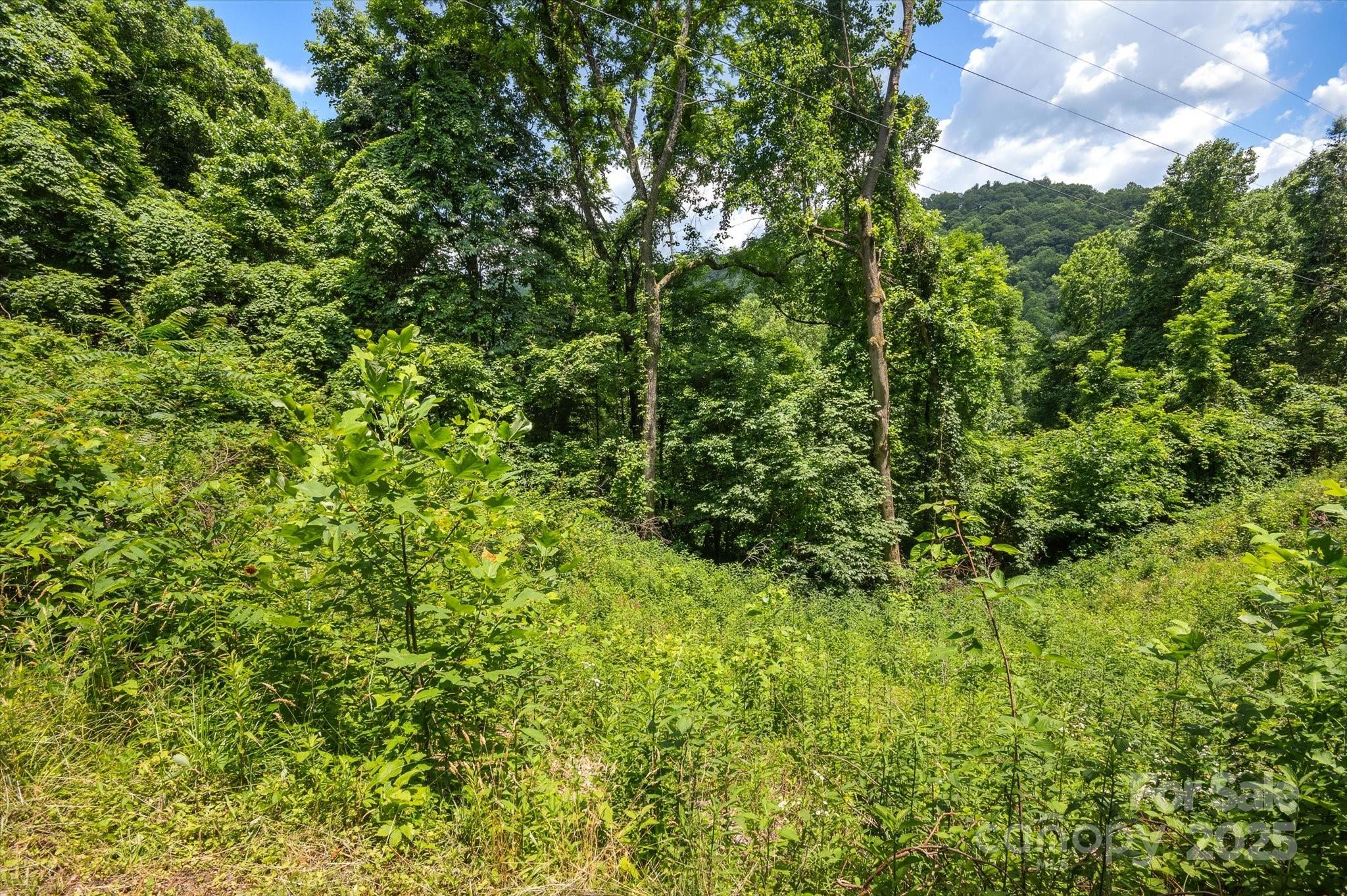 99999 Secluded Valley Road Property Photo 15