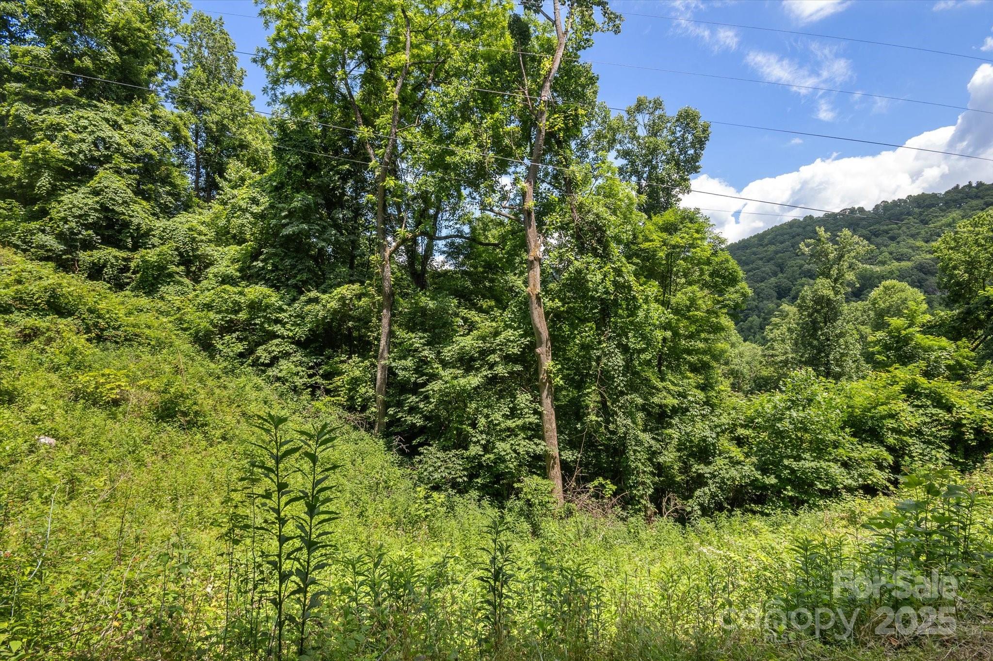 99999 Secluded Valley Road Property Photo 16
