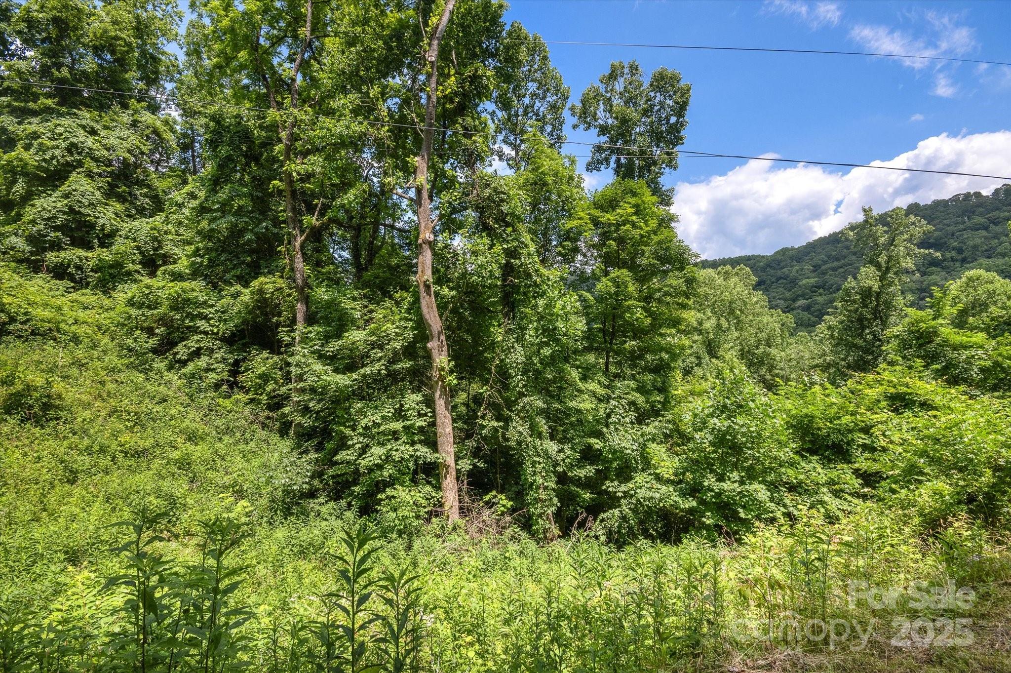 99999 Secluded Valley Road Property Photo 17