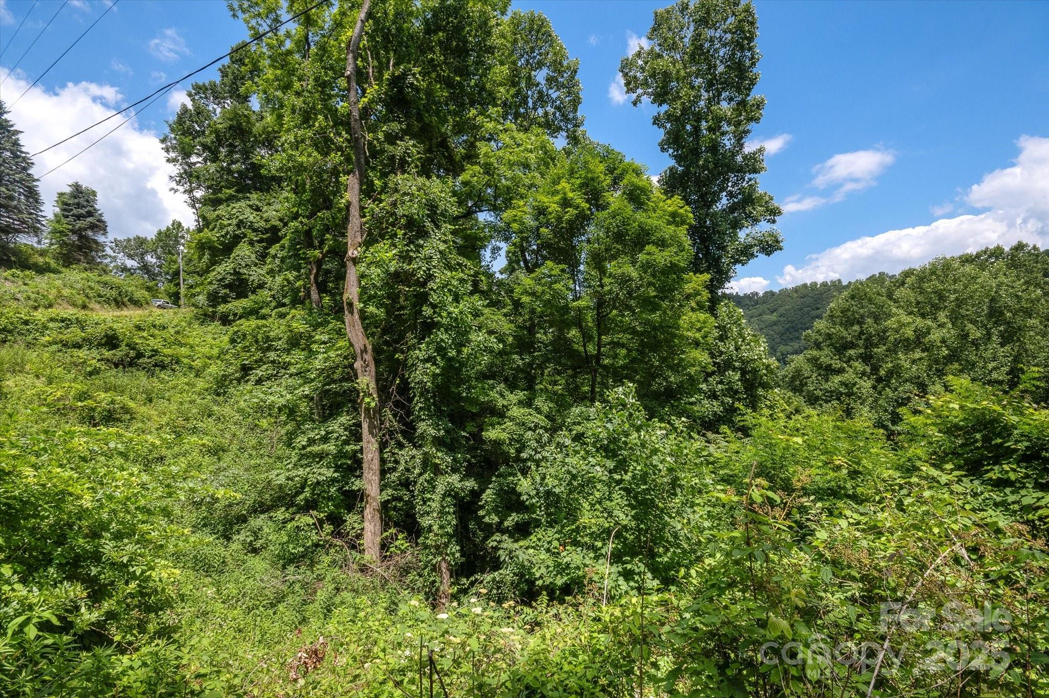 99999 Secluded Valley Road Property Photo 19