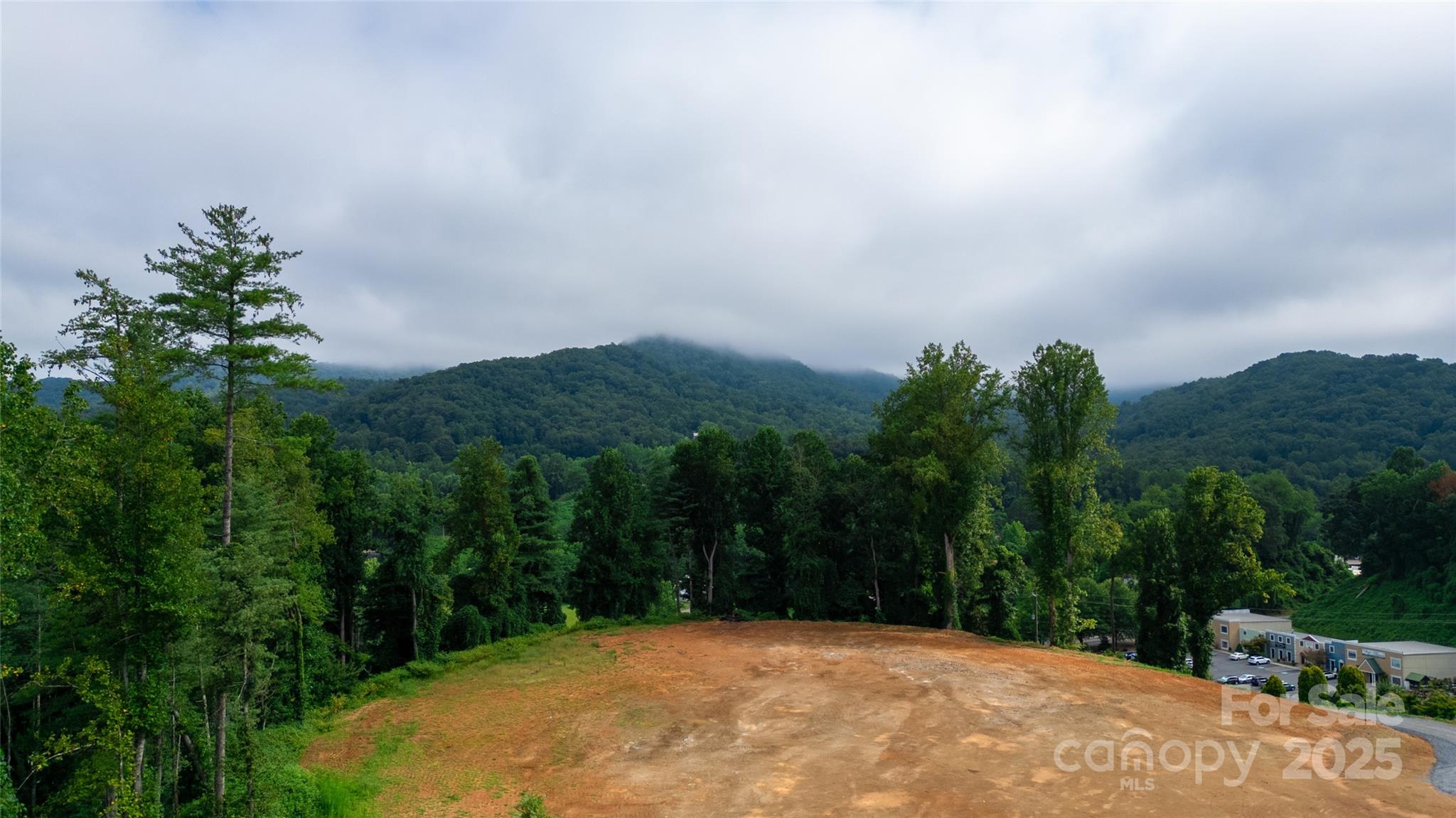 115 Haywood Road Property Photo 25