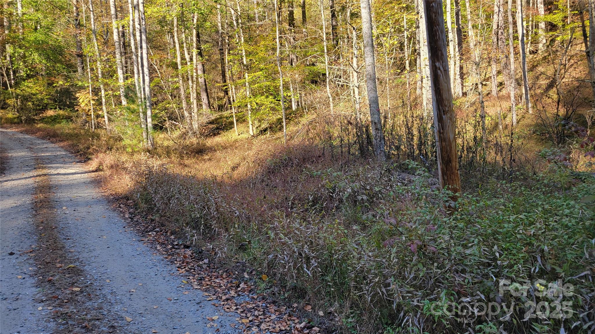 000 Cabin Hill Road Property Photo 1