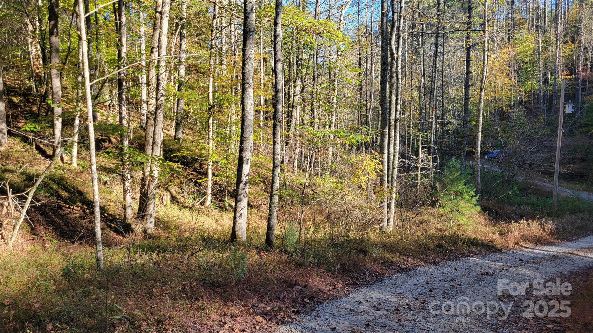 000 Cabin Hill Road Property Photo 2