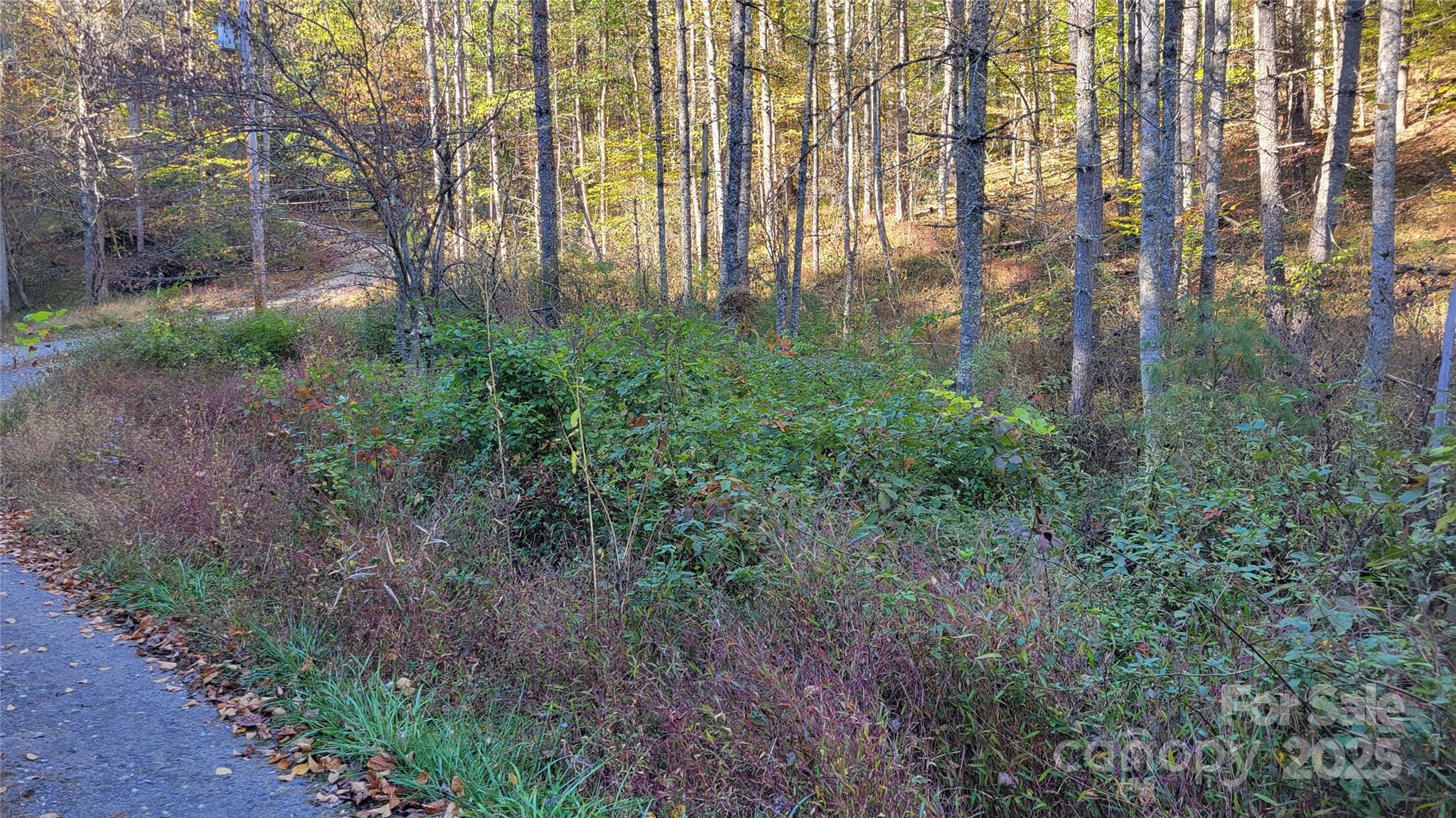 000 Cabin Hill Road Property Photo 3