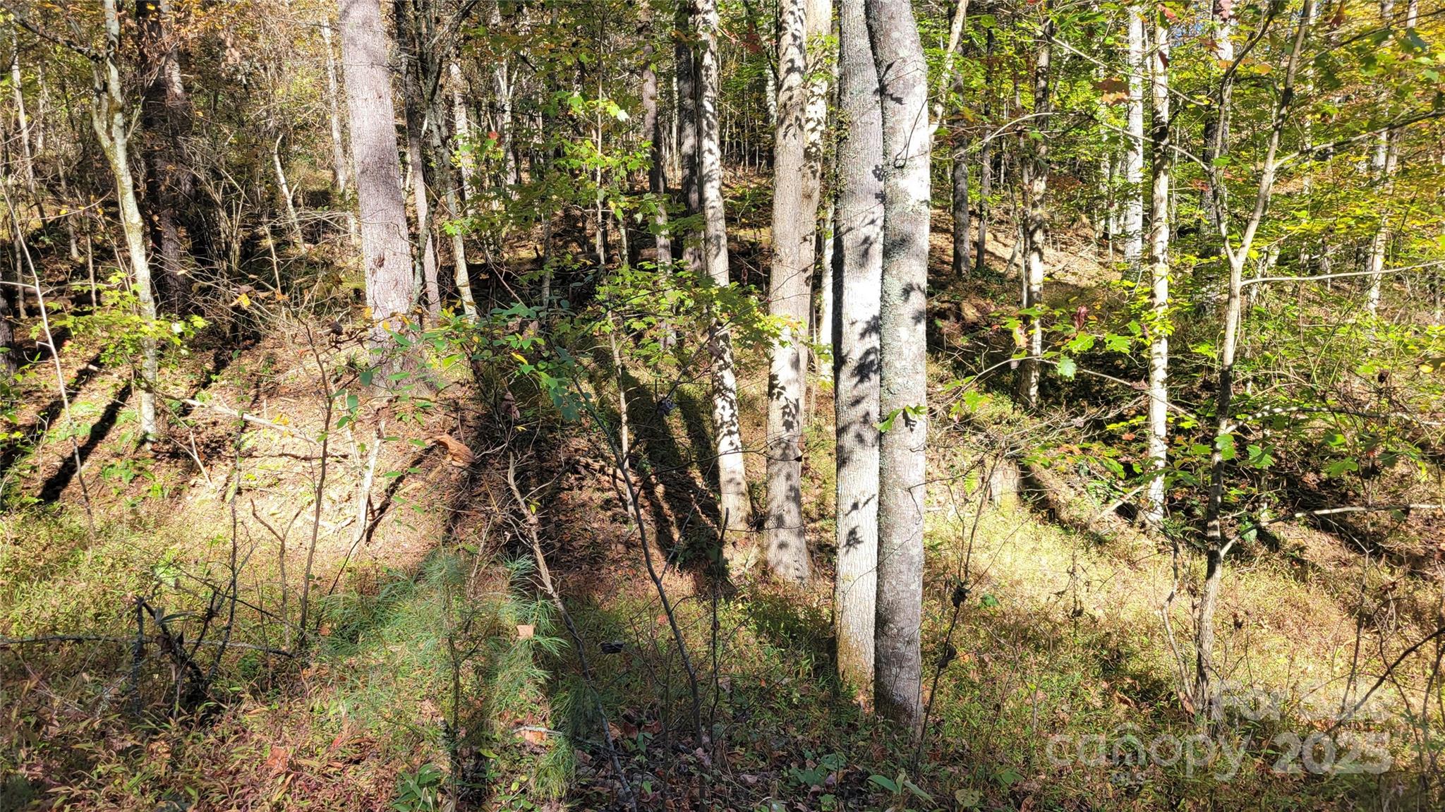 000 Cabin Hill Road Property Photo 6