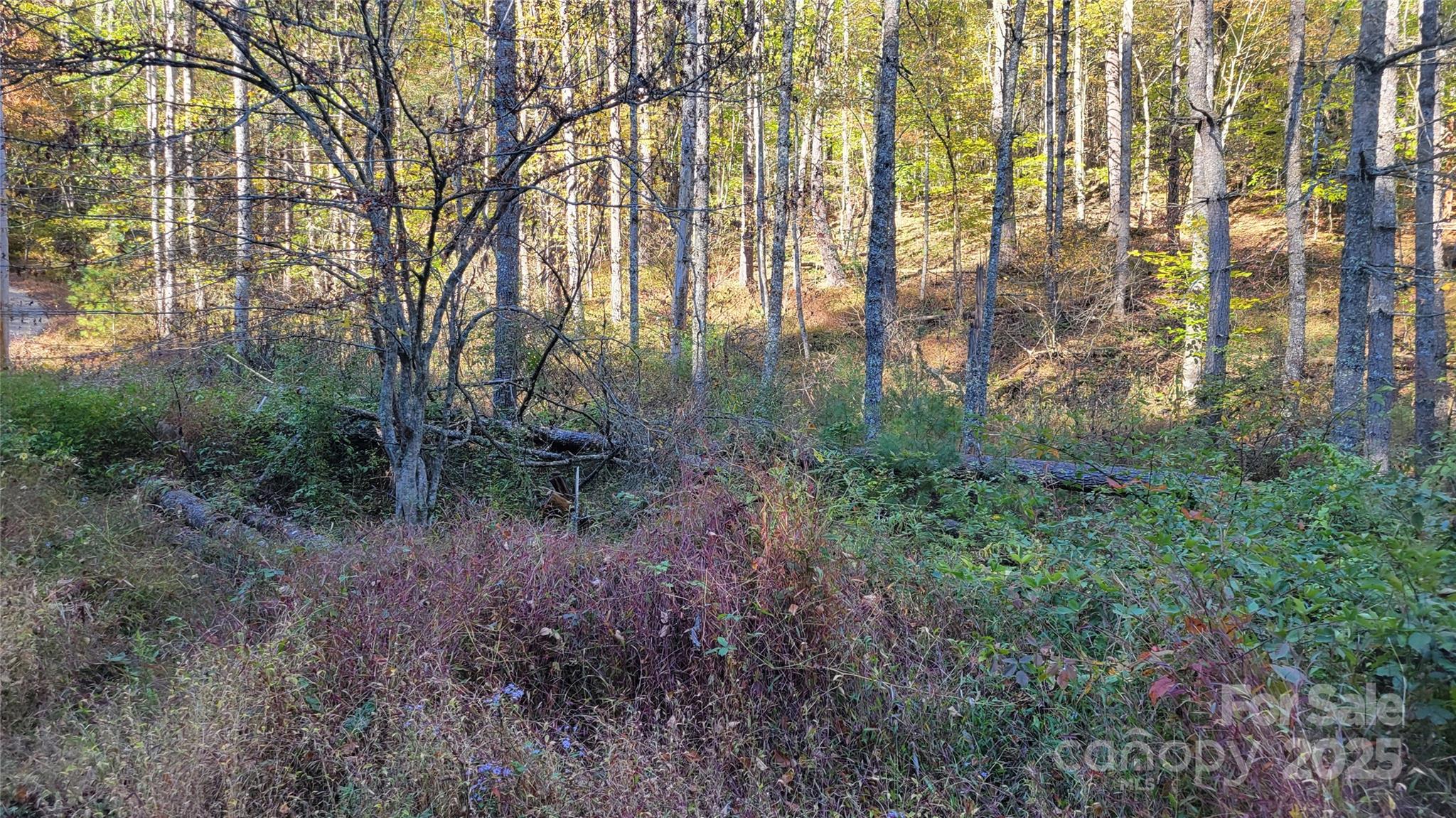000 Cabin Hill Road Property Photo 8