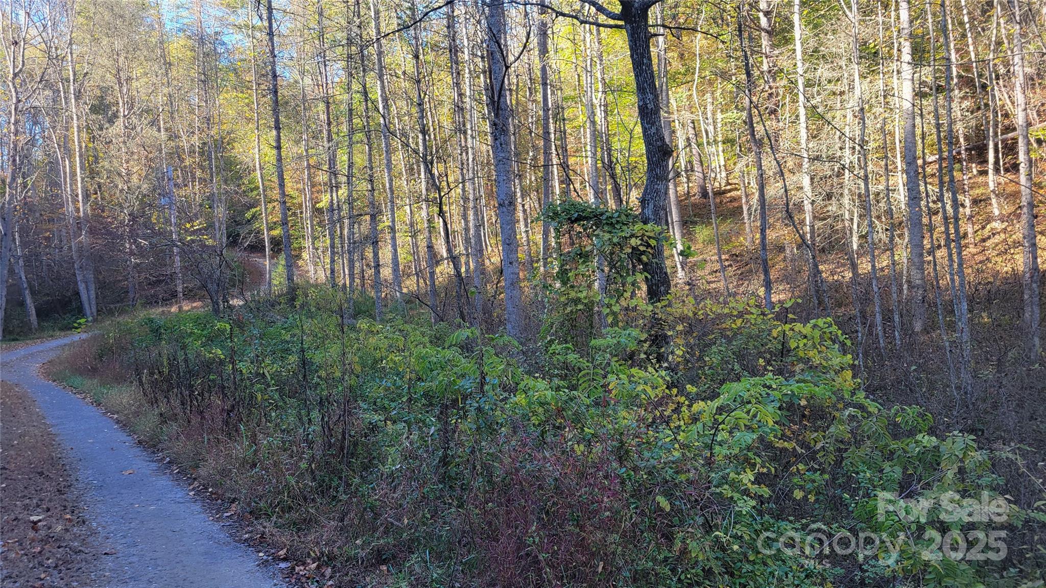 000 Cabin Hill Road Property Photo 9
