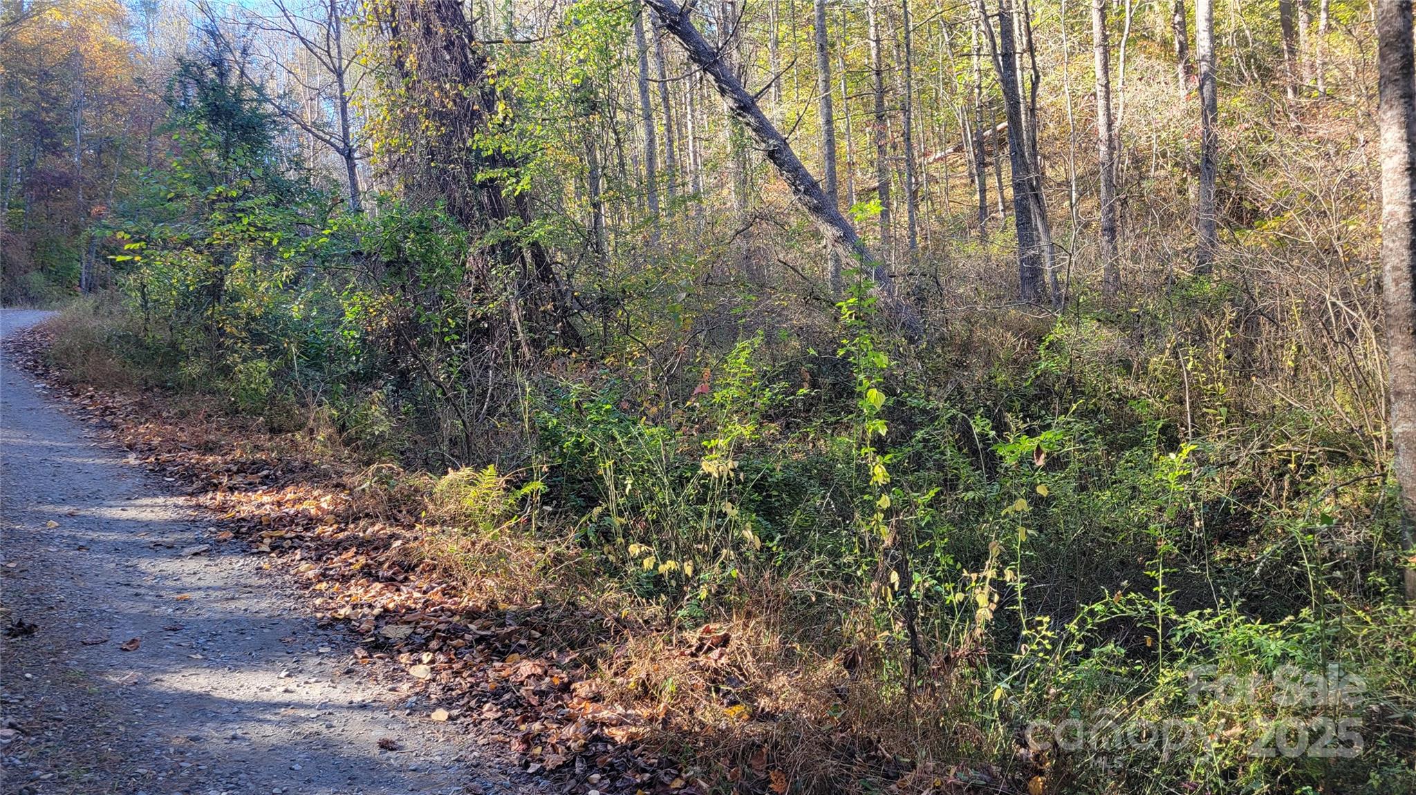 000 Cabin Hill Road Property Photo 10