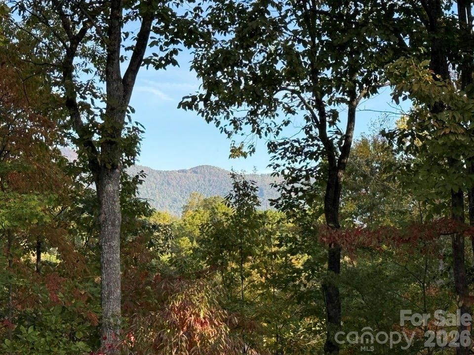 160 Caledonia Road Property Photo 2