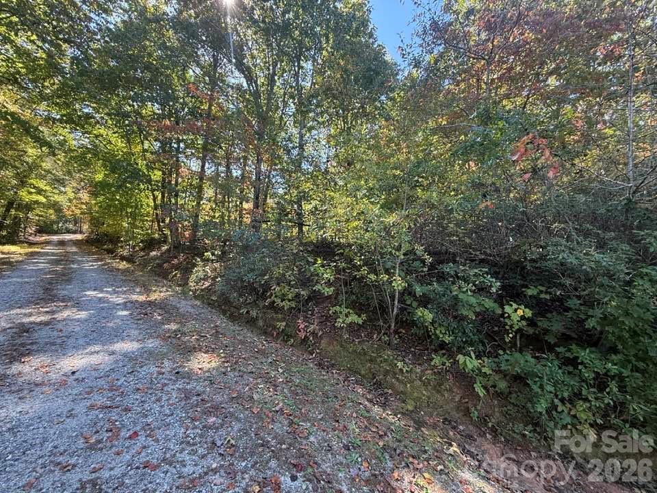 160 Caledonia Road Property Photo 41