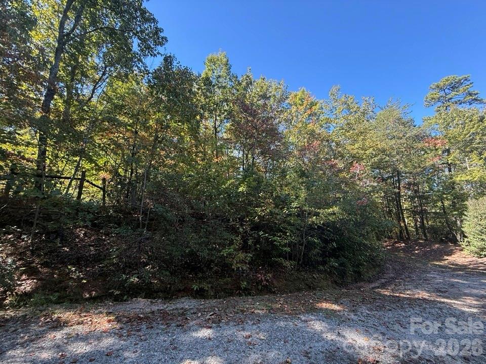 160 Caledonia Road Property Photo 42