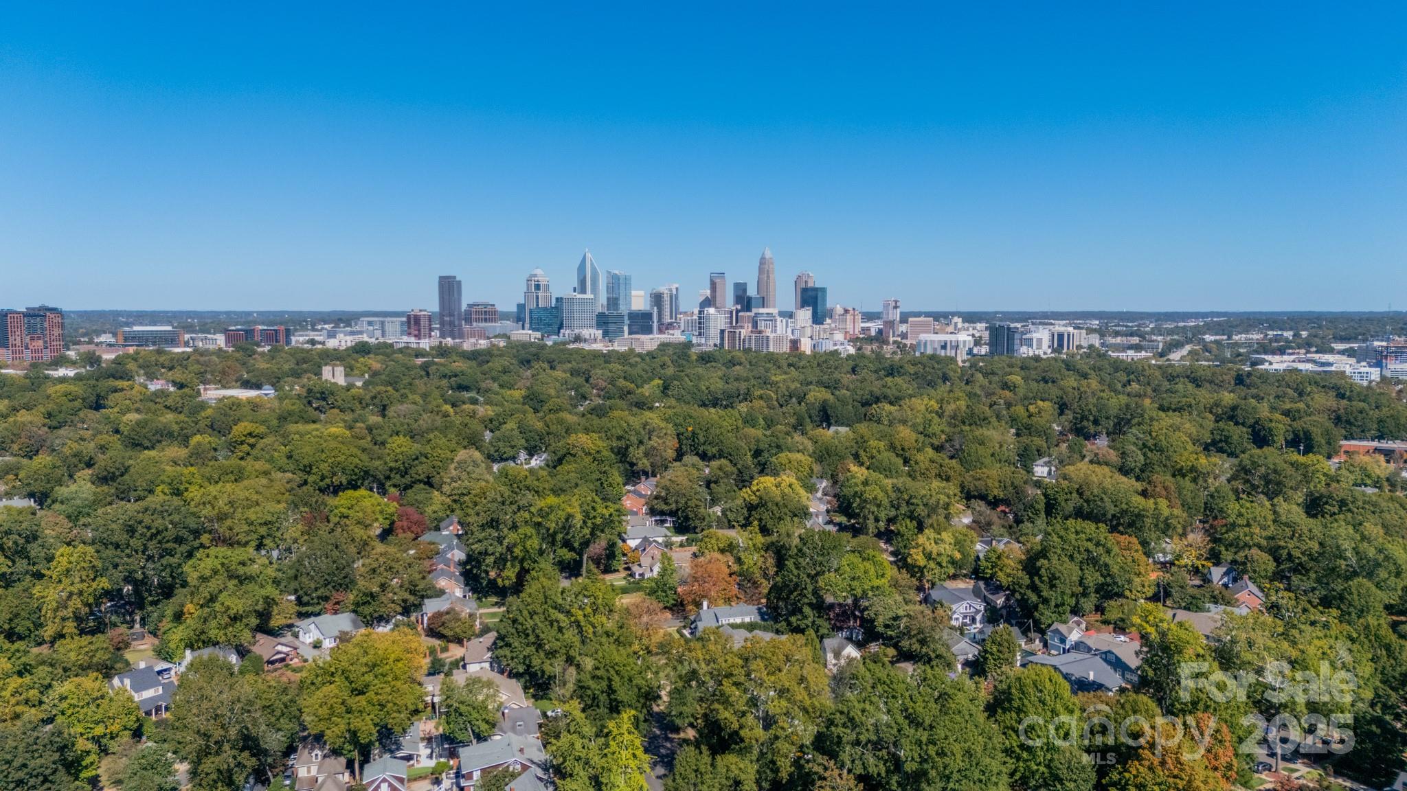 2224 Sarah Marks Avenue Property Photo 39