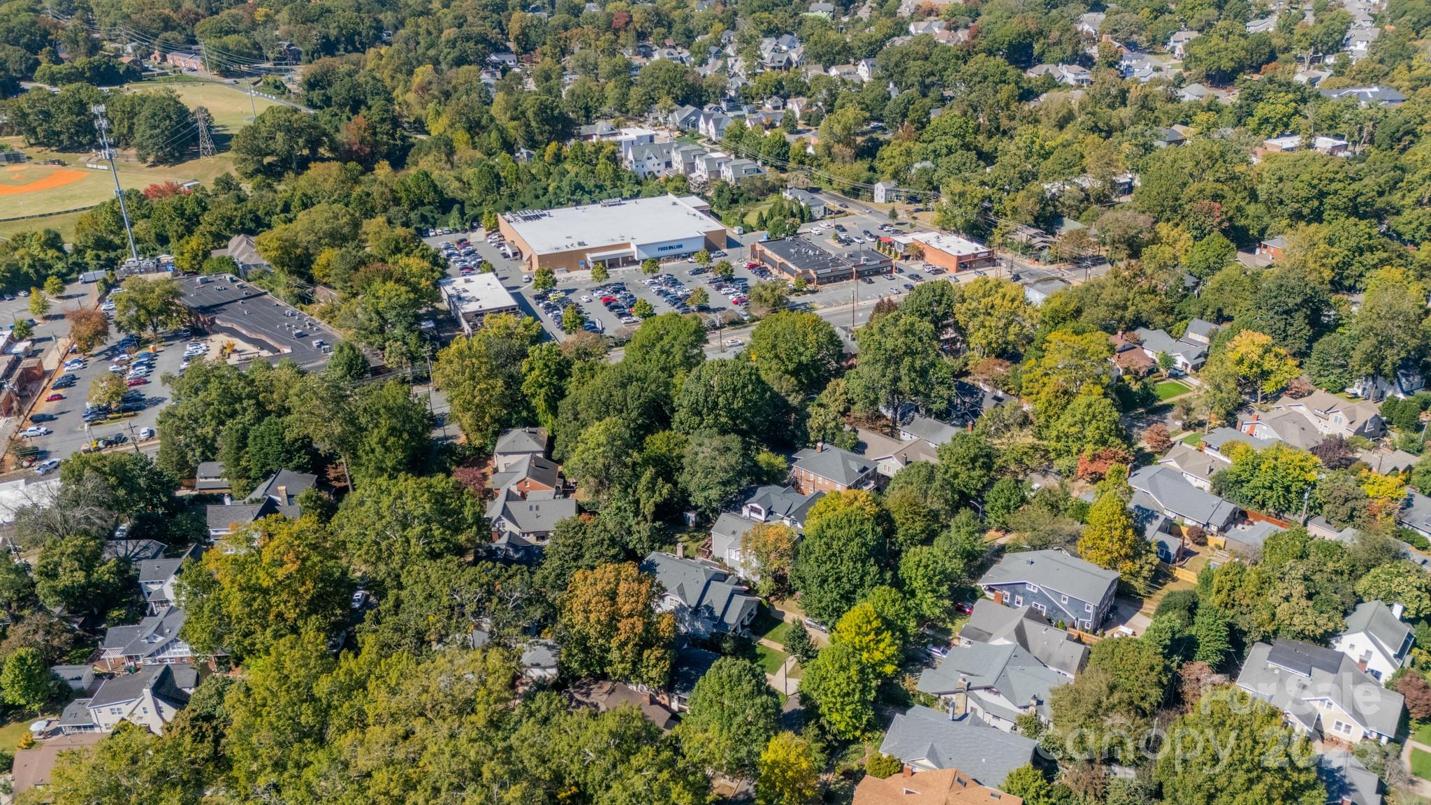 2224 Sarah Marks Avenue Property Photo 43