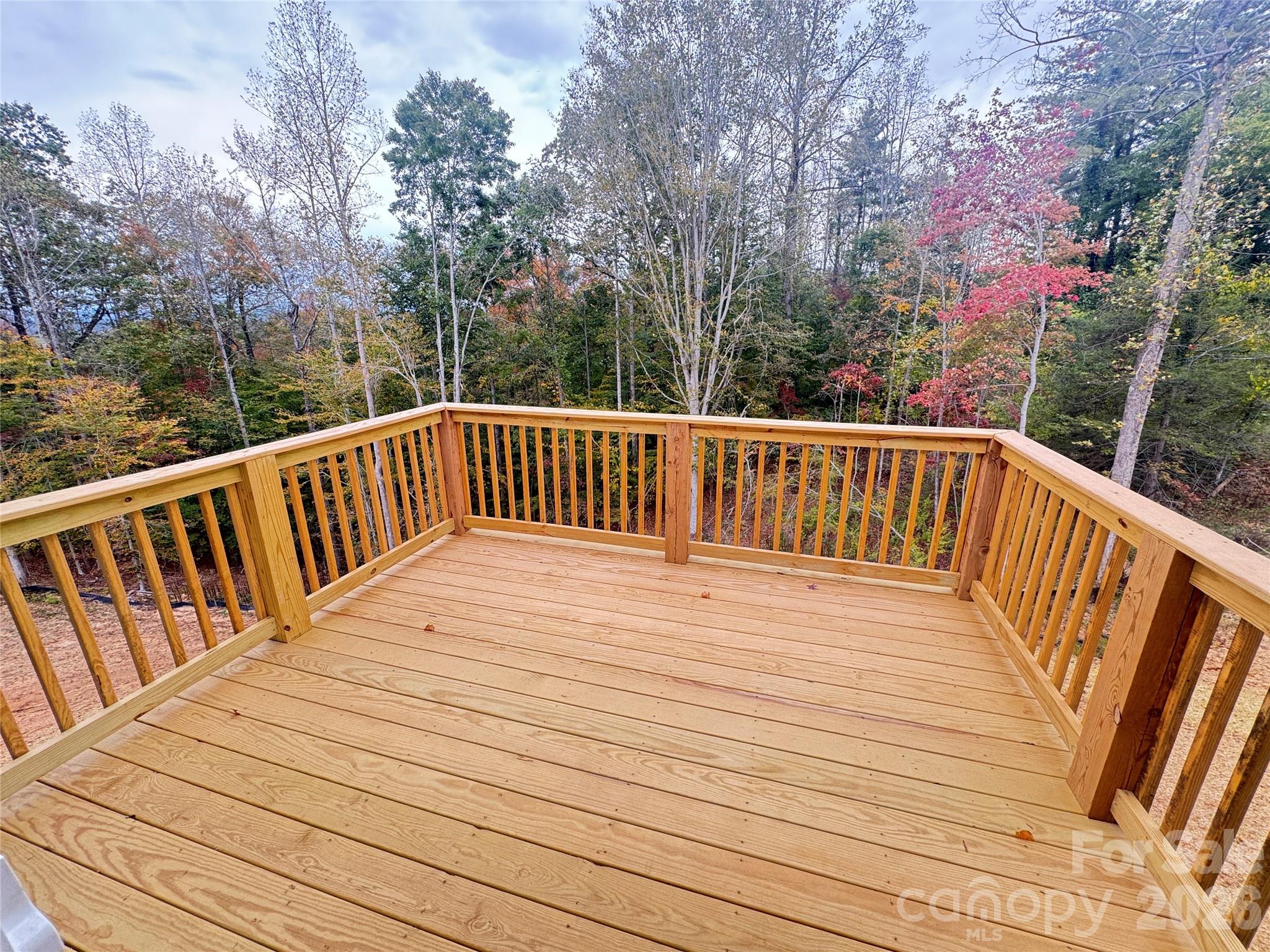 1205 Summerhill Street Property Photo 8