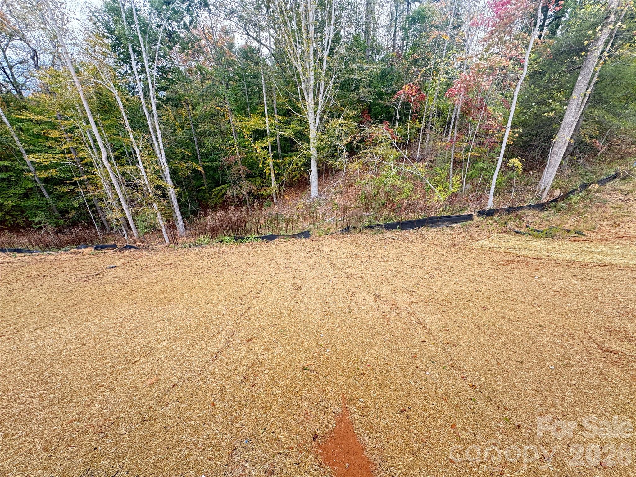 1205 Summerhill Street Property Photo 24