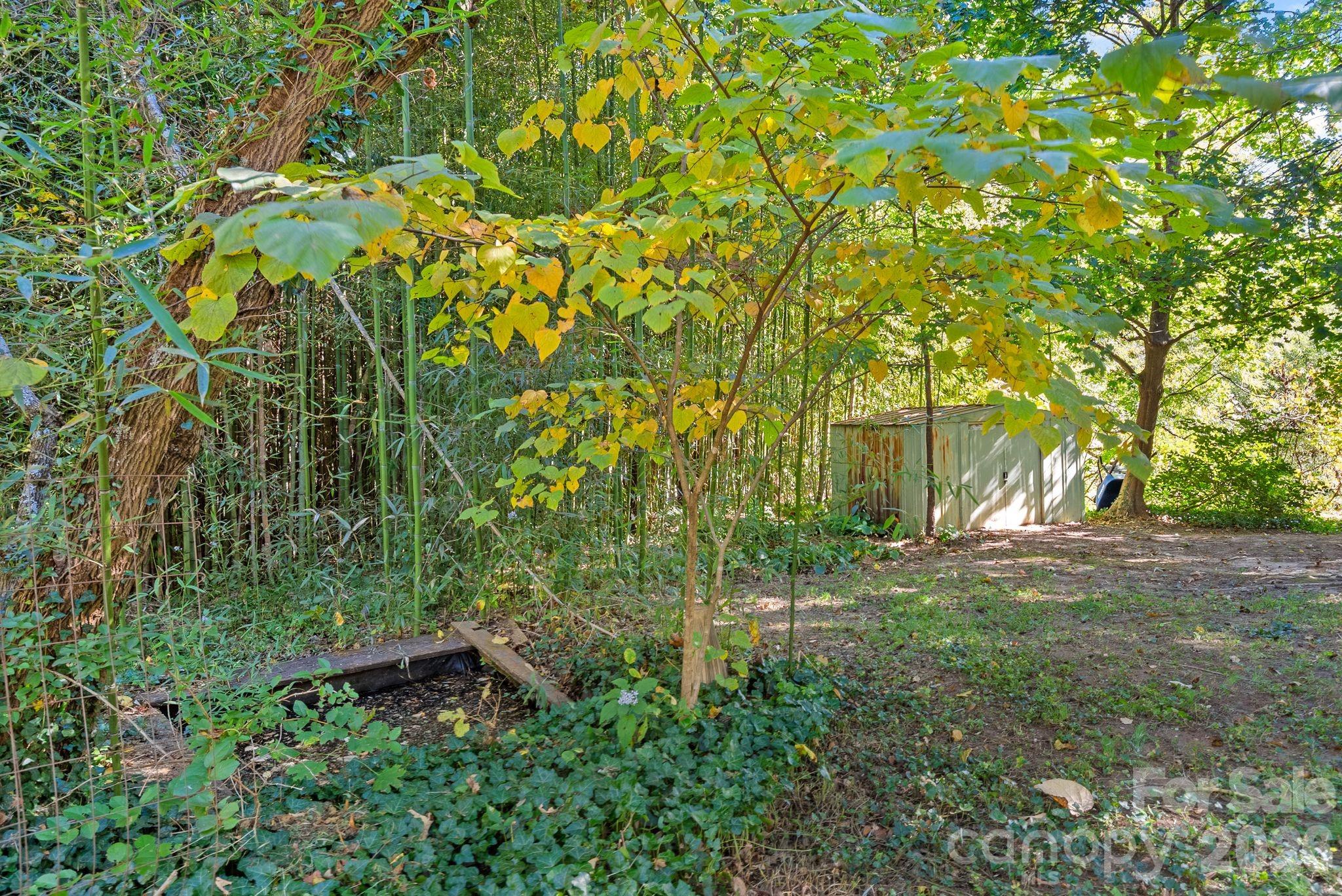 414 Beaucatcher Road Property Photo 12