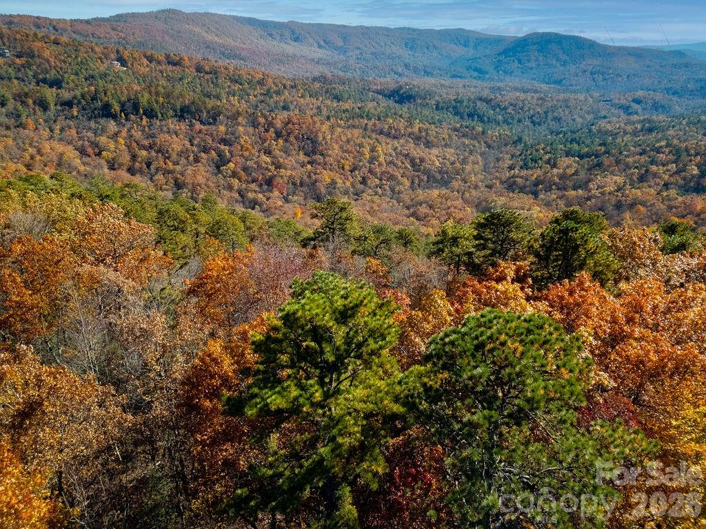Tbd Old Toxaway Road Property Photo 4