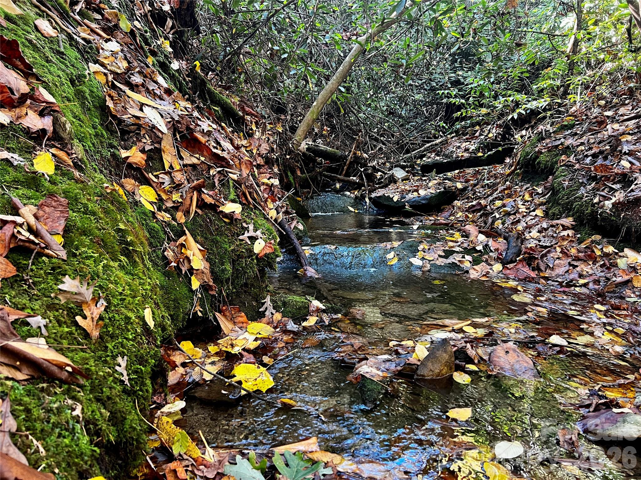 Tbd Old Toxaway Road Property Photo 5