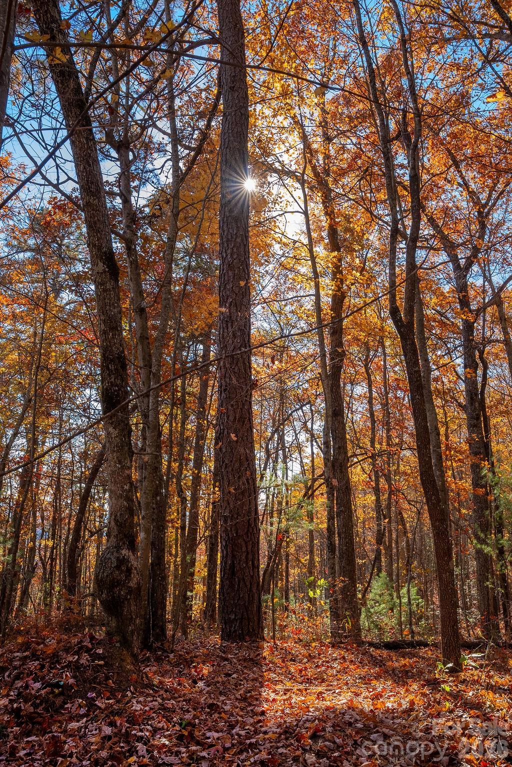 Tbd Old Toxaway Road Property Photo 6