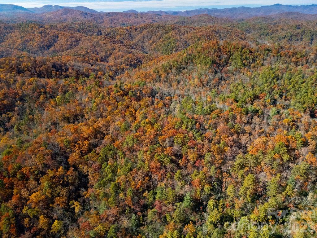 Tbd Old Toxaway Road Property Photo 8