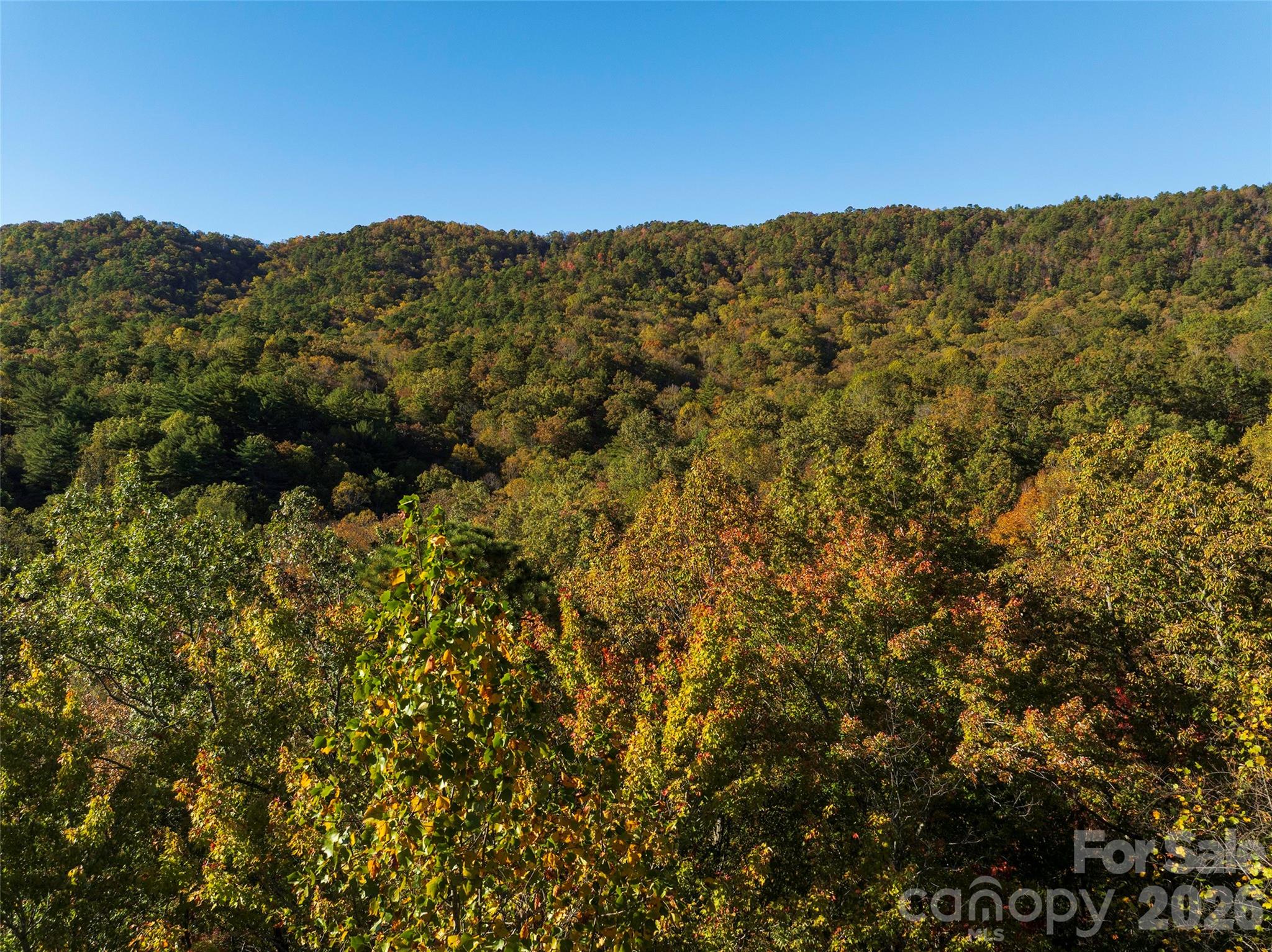 Tbd Old Toxaway Road Property Photo 10