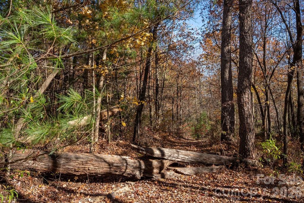 Tbd Old Toxaway Road Property Photo 11