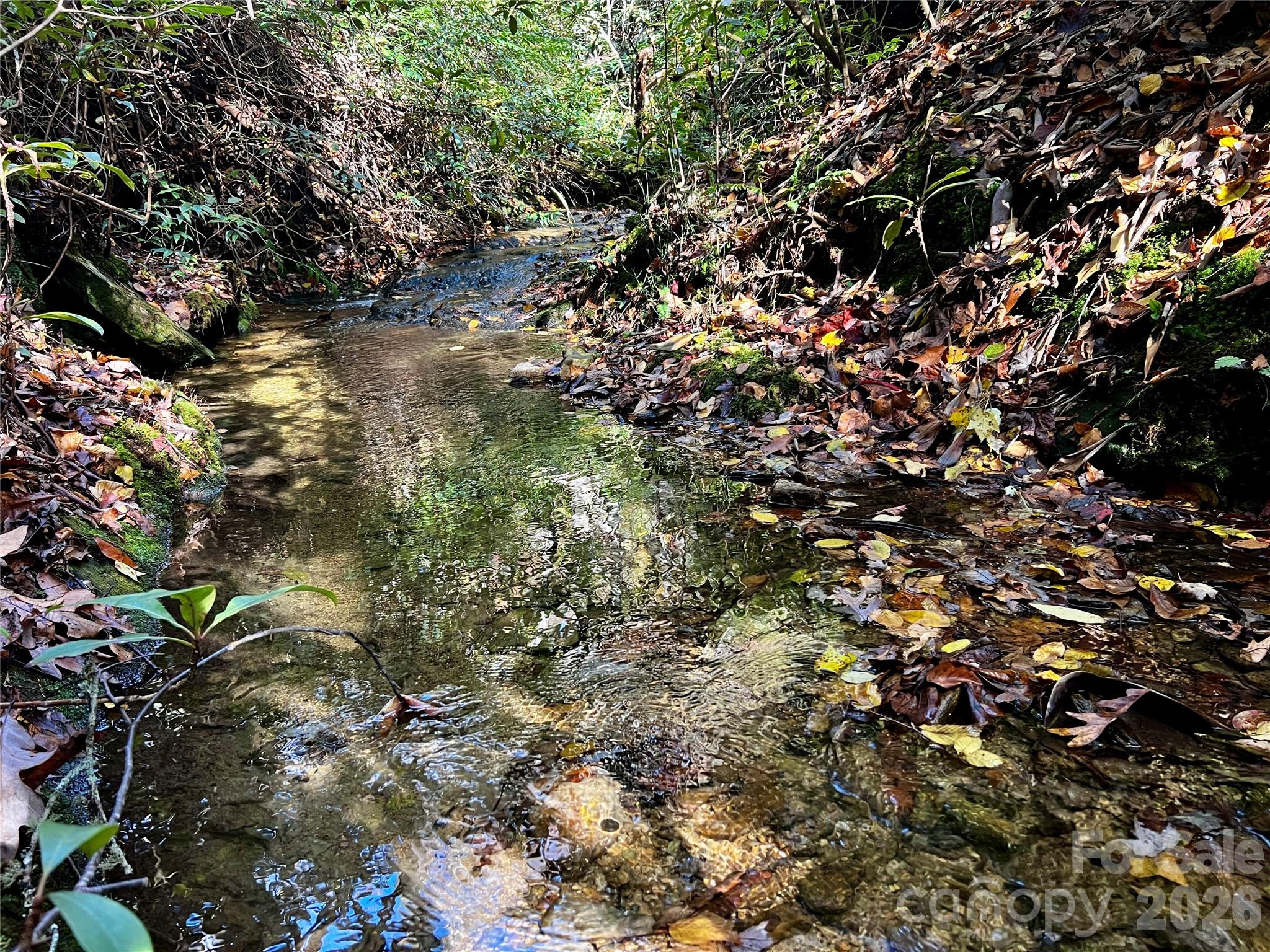 Tbd Old Toxaway Road Property Photo 13