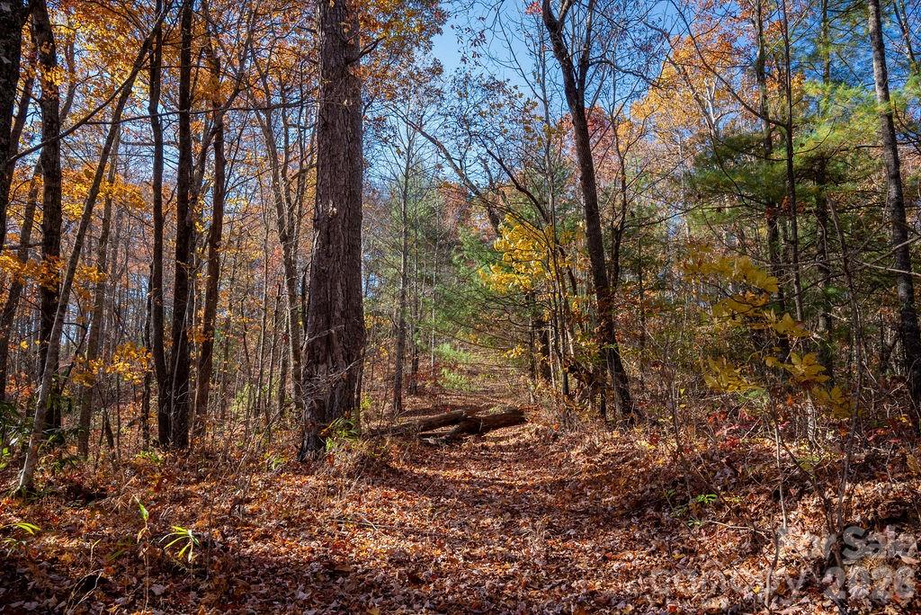 Tbd Old Toxaway Road Property Photo 14